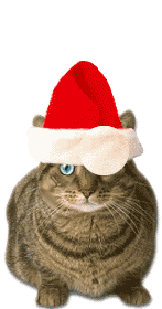 KittyKitty does Christmas