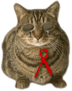 Sad Aids Kitty