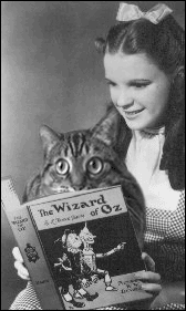 Kitty Wizard